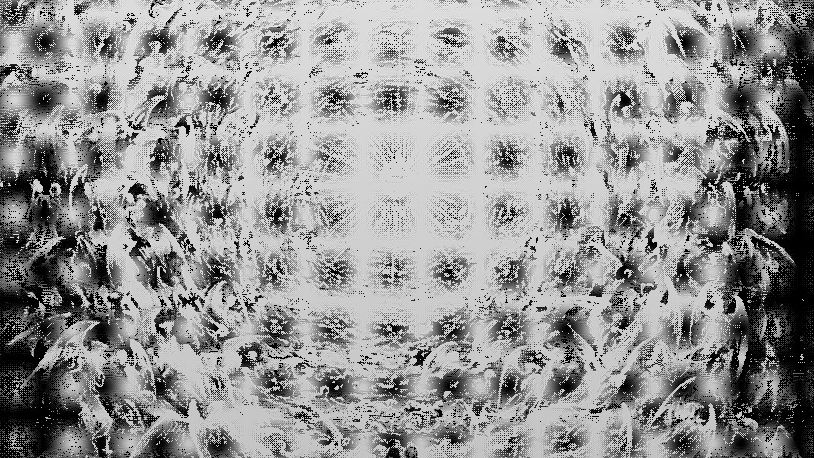 Etching illustration for: 三つのルート / 統一ナラティブの終焉